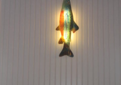 fish light fixture